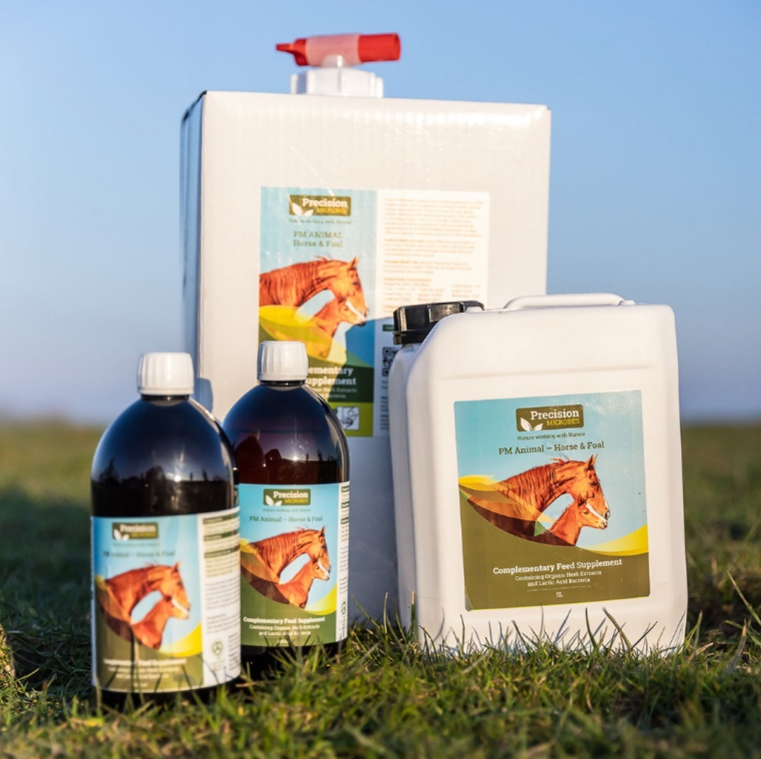 Supplements, Fethard Equine Hospital, FEH, Precision Microbes, gut health, probiotic, prebiotic, digestive health