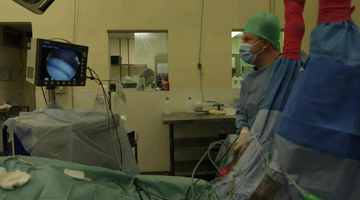 Equine Surgery, Emergency, Fethard Equine Hospital, FEH, Equine Vets ireland, Ger Kelly