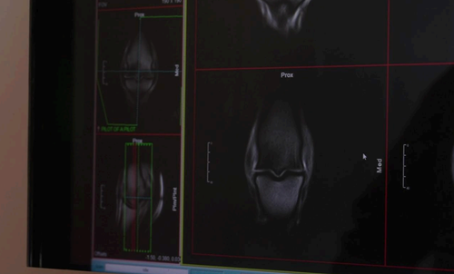 MRI, Fethard Equine Hospital, FEH