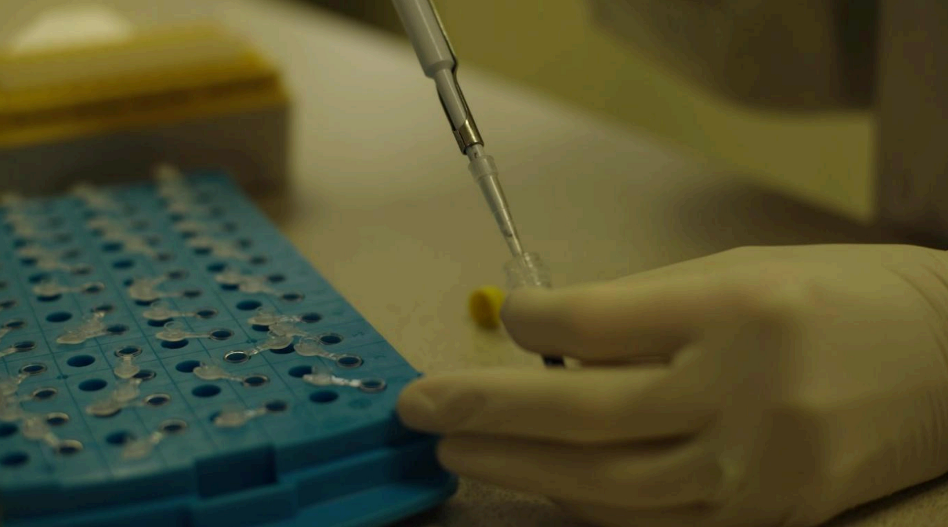 Laboratory, Fethard Equine Hospital, Equine Hospital, Equine Vets, tipperary, ireland