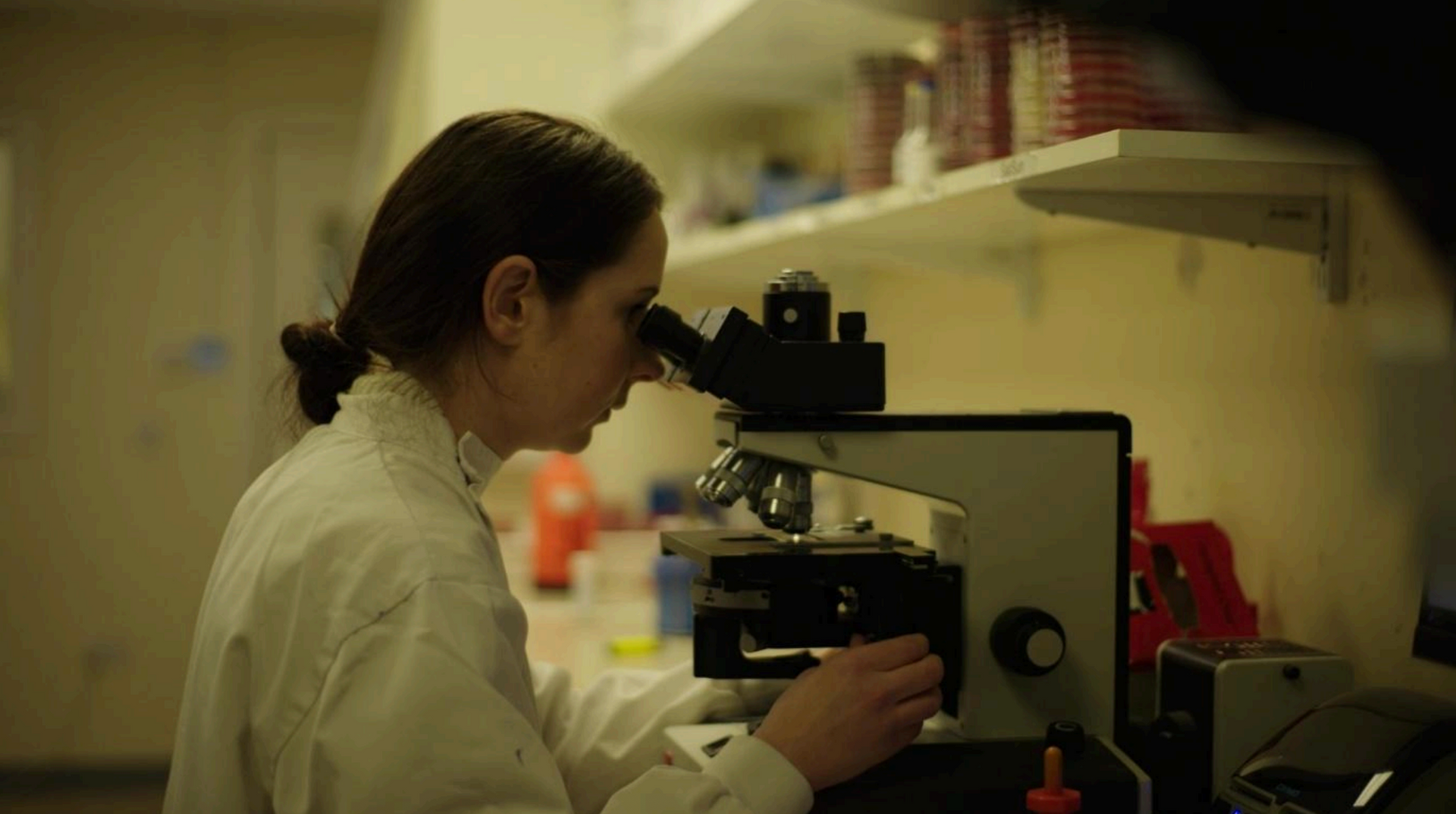 Laboratory, Fethard Equine Hospital, Equine Hospital, Equine Vets, tipperary, ireland