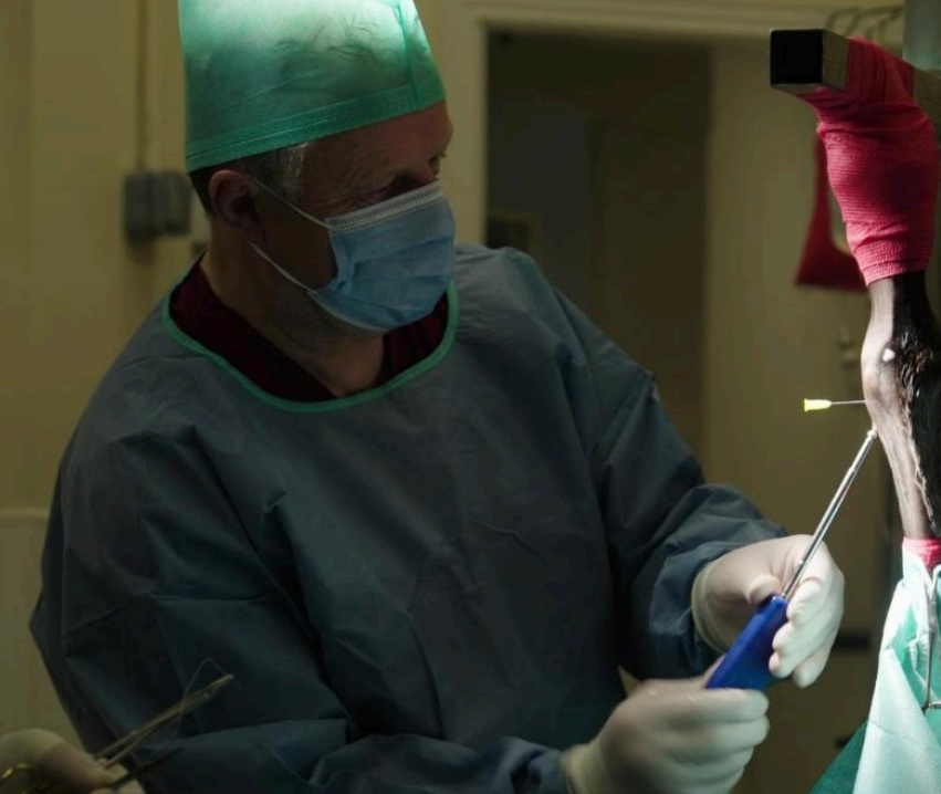 Ger Kelly, Team at Fethard Equine Hospital