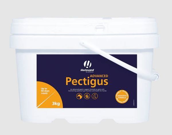 Pectigus, Fethard Equine hospital, Equine supplements, hestevard pectigus, hestevard, gastric support for horses