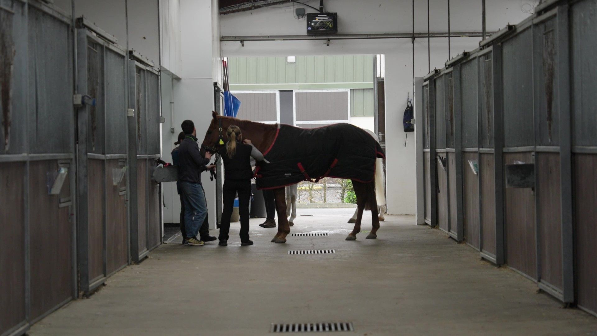 Fethard Equine Hospital, FEH, Equine Vets ireland