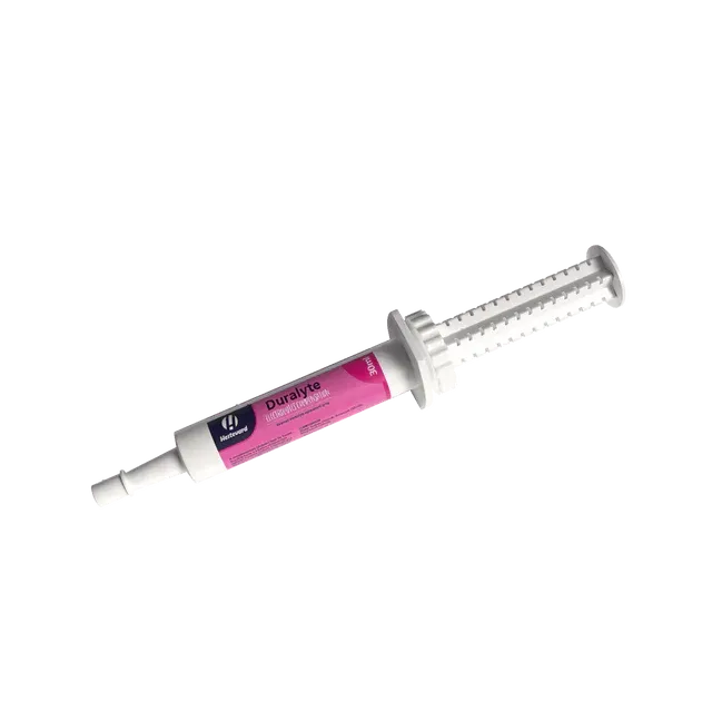Duralyte Paste