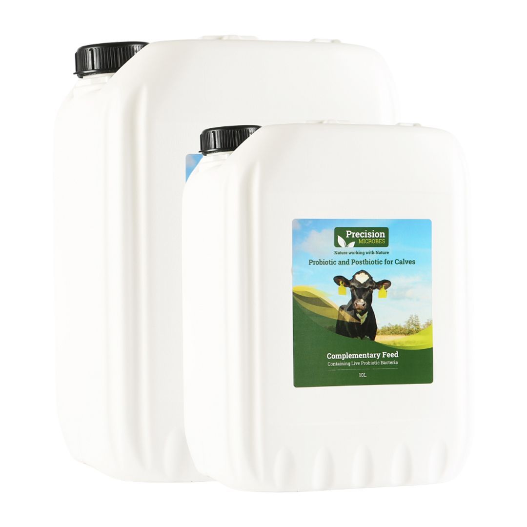 precision microbes calf probiotic and postbiotic to help with gut issues or stomach upset