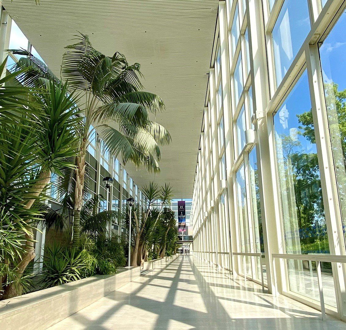 A long hallway with lots of windows and palm trees