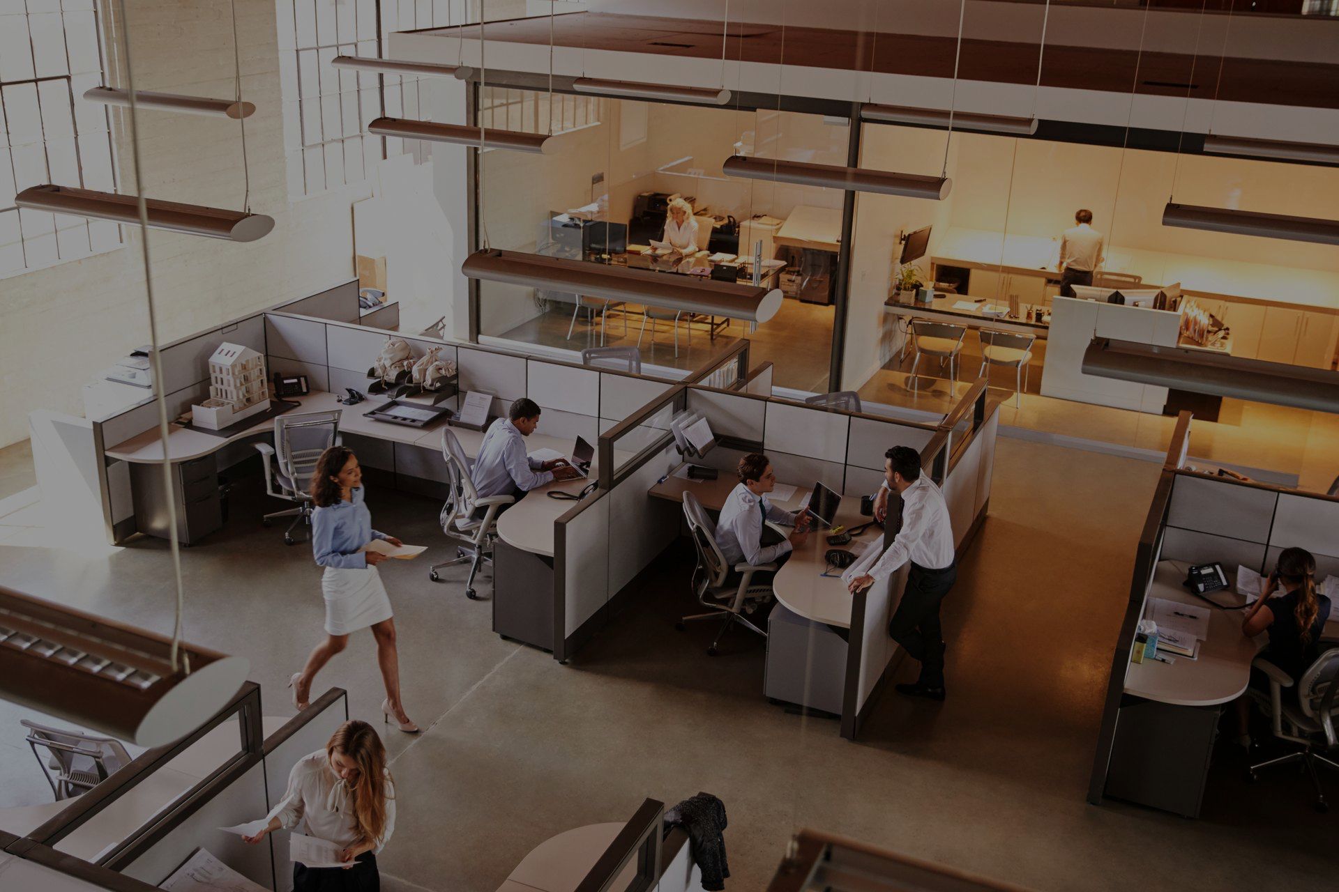 A group of people are working in cubicles in an office.