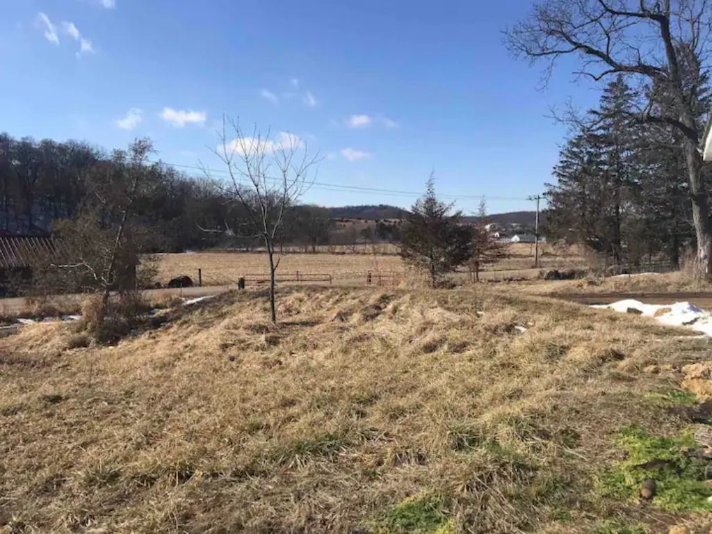 open field