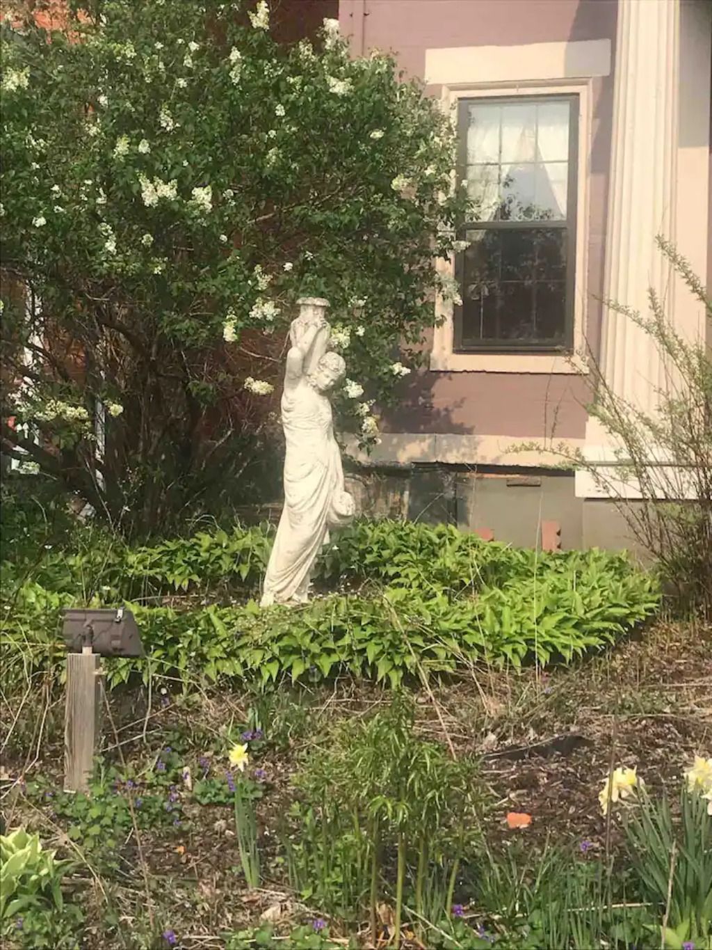 garden