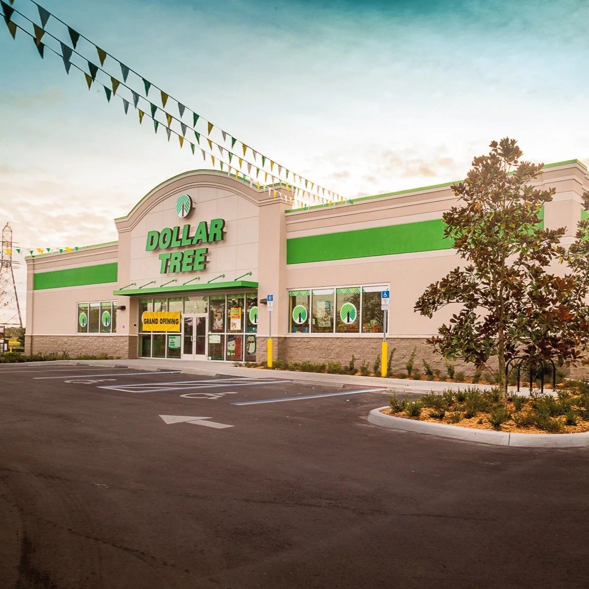 Dollar Tree