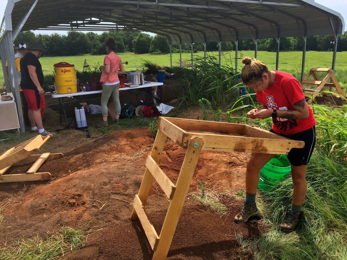 A woman in a red shirt is working on a wooden ladder in a field.