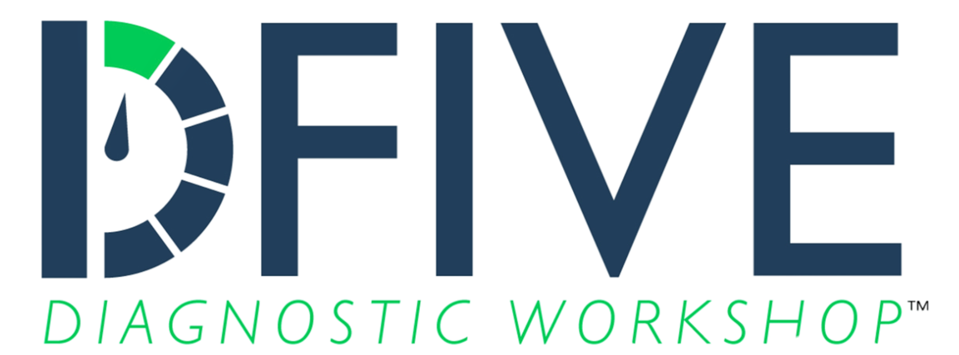 The logo for the diagnostic workshop is blue and green.
