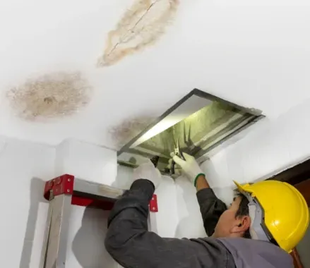 reparación de filtraciones y humedades en Polanco