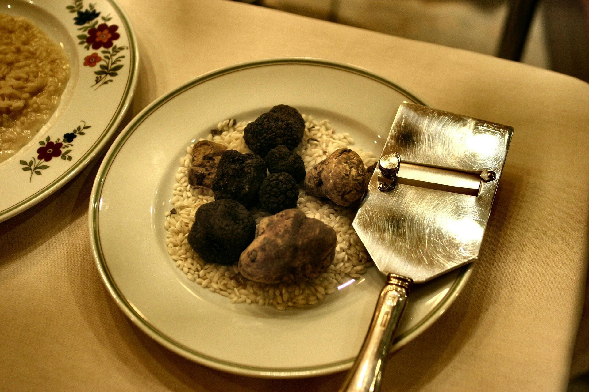 ristorante tartufo firenze