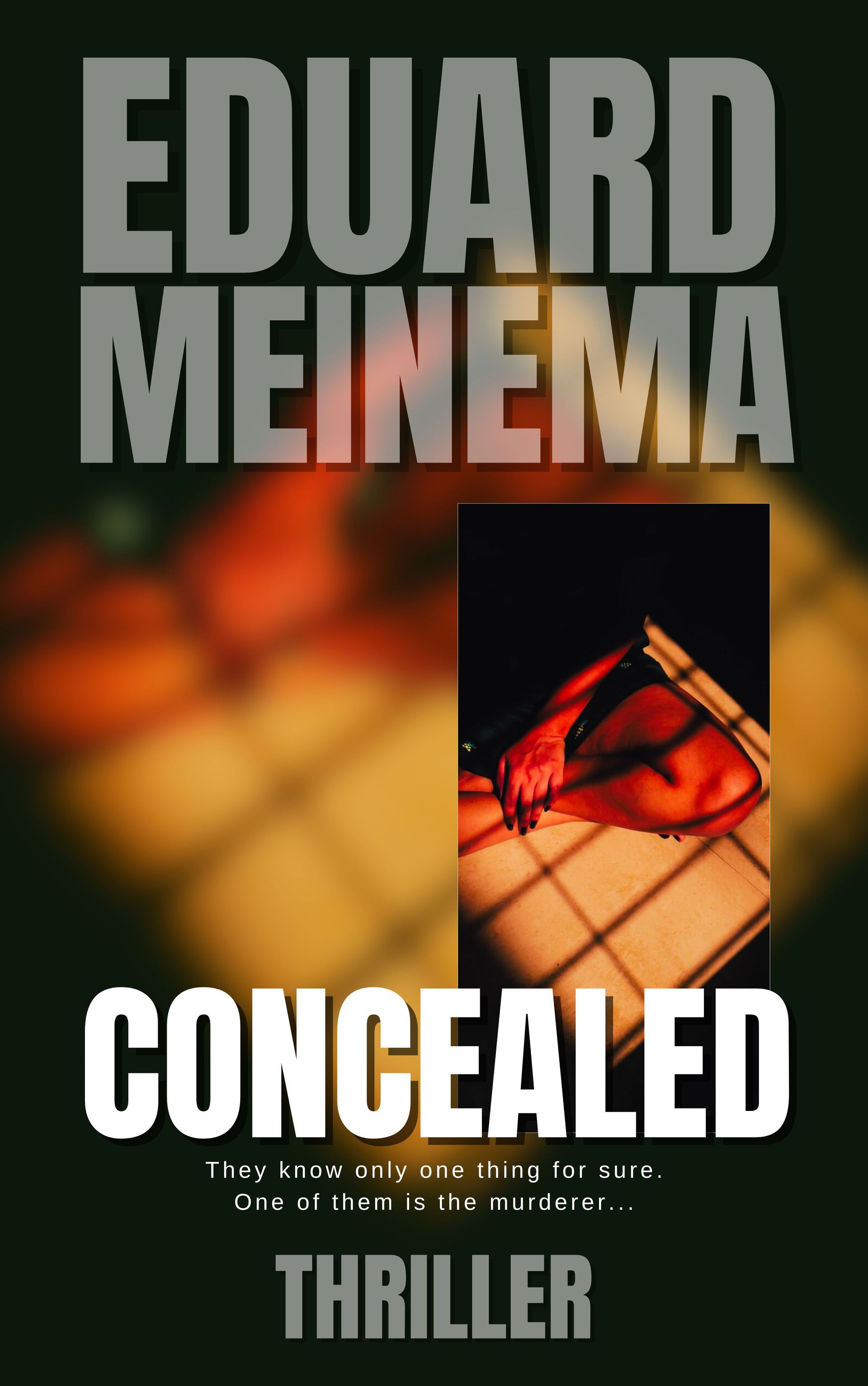 Concealed. Standalone thriller by Eduard Meinema