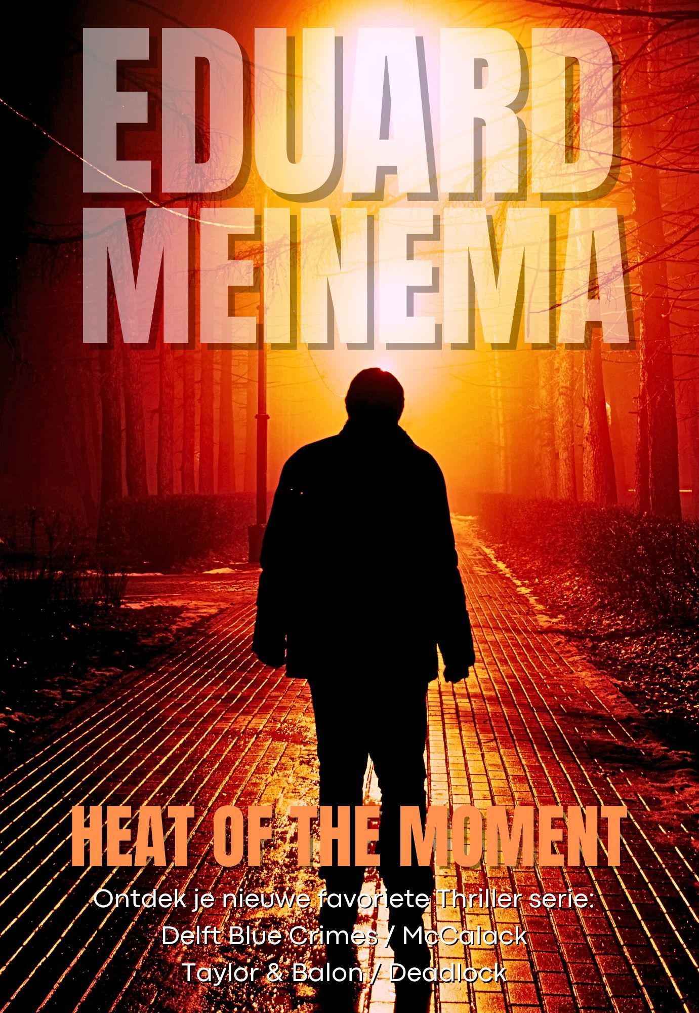 Concealed, standalone thriller by Eduard Meinema Concealed, standalone thriller by Eduard Meinema