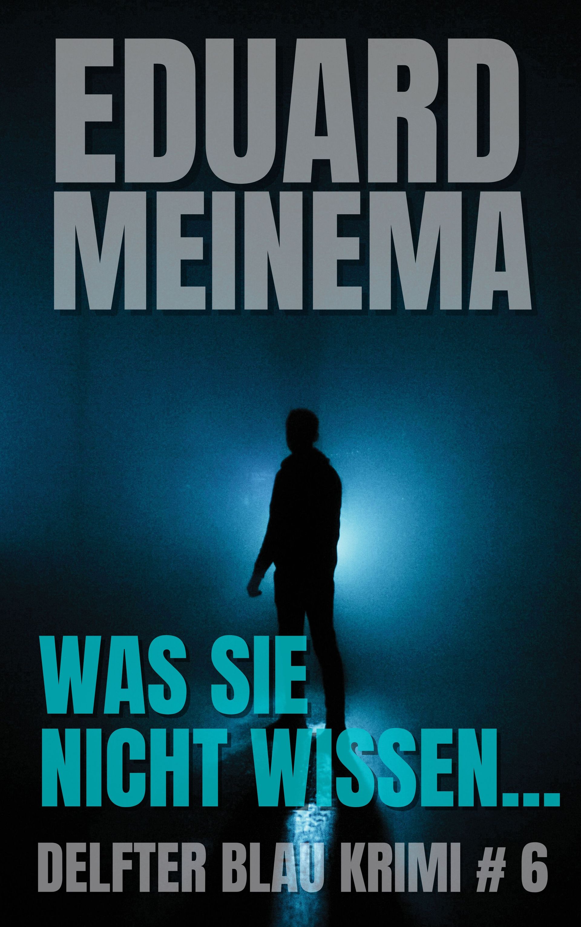 Delfter Blau Krimi #6 Was Sie nicht wissen von Eduard Meinema.