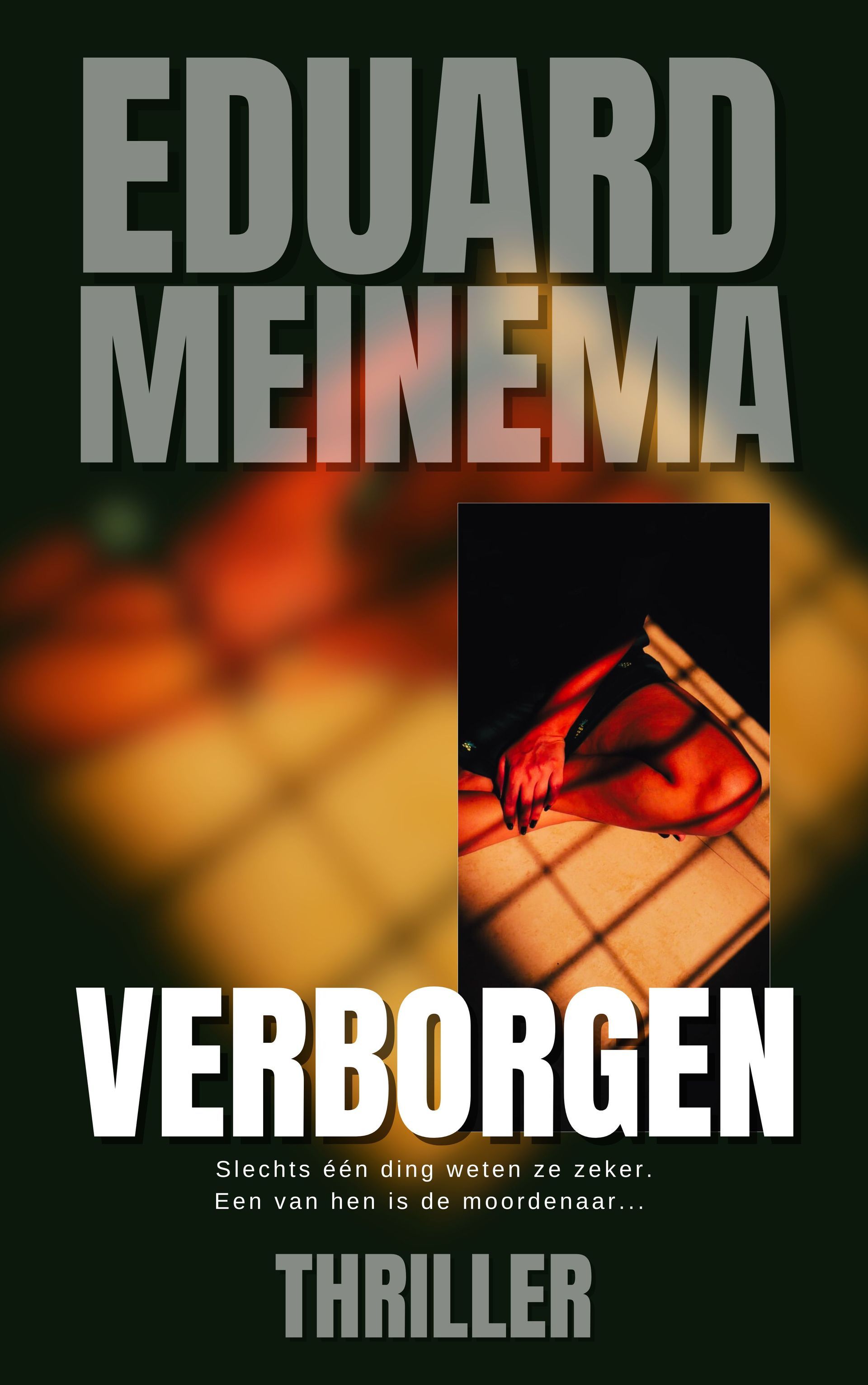 Concealed, standalone thriller by Eduard Meinema