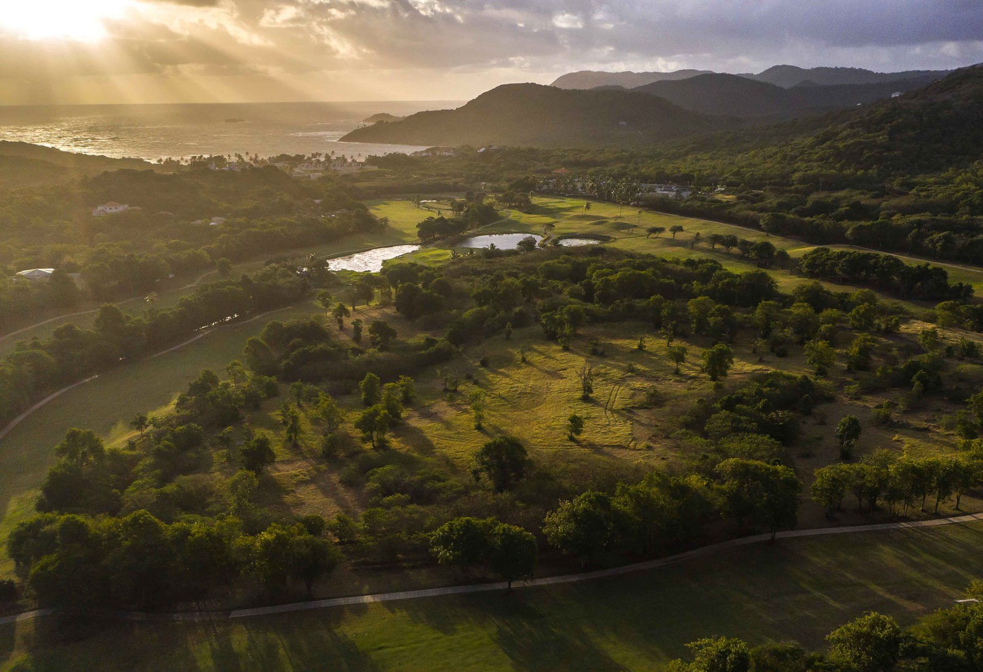 Sunlit aerial view of a lush green valley with a winding river and mountains in the distance