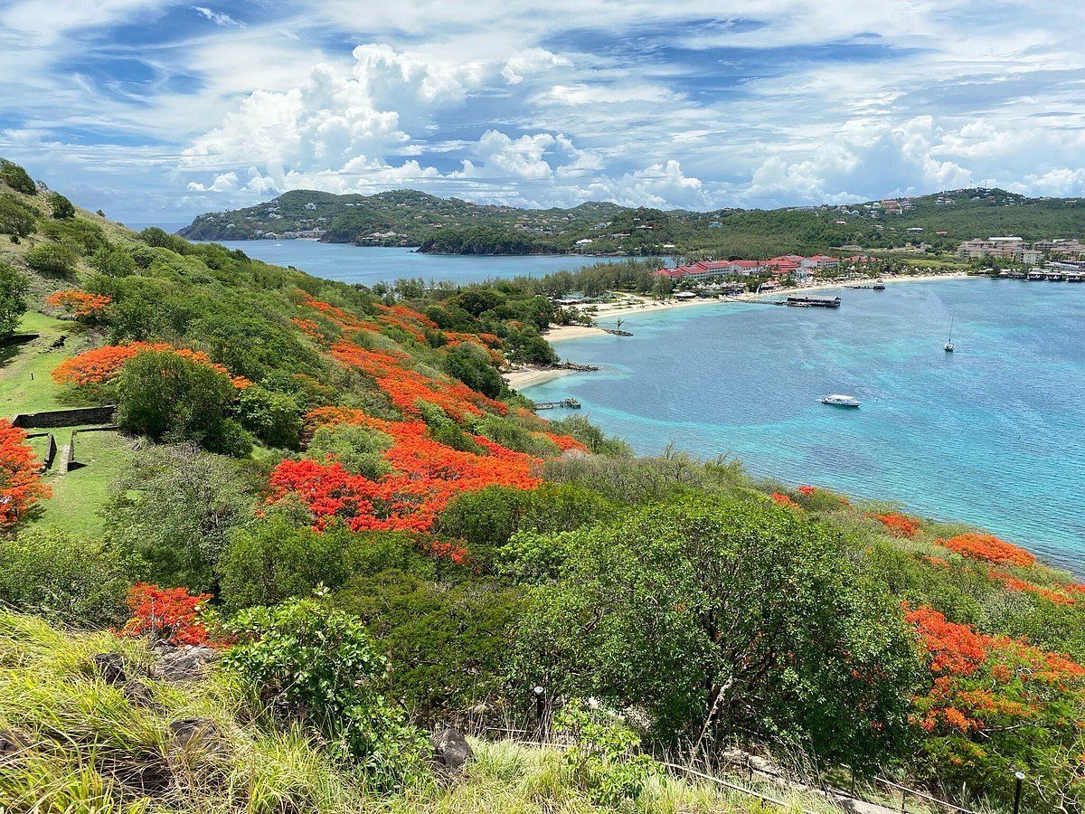 A lush green hillside overlooking a body of water surrounded by trees and flowers.