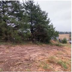 Land Clearing