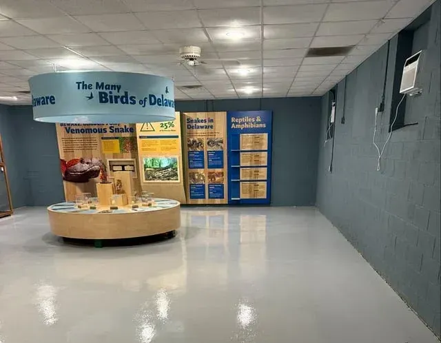 Polyaspartic Flooring in Rehoboth Beach, DE