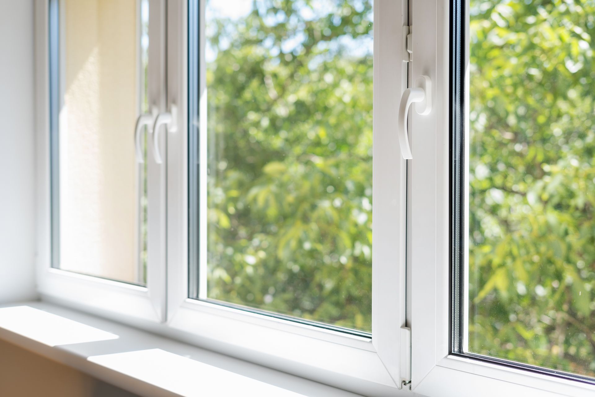 White framed window with a bright green leafy view outside.
