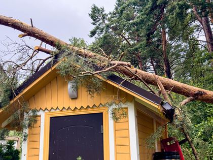 A tree branch lies across the yellow roof of a small building.