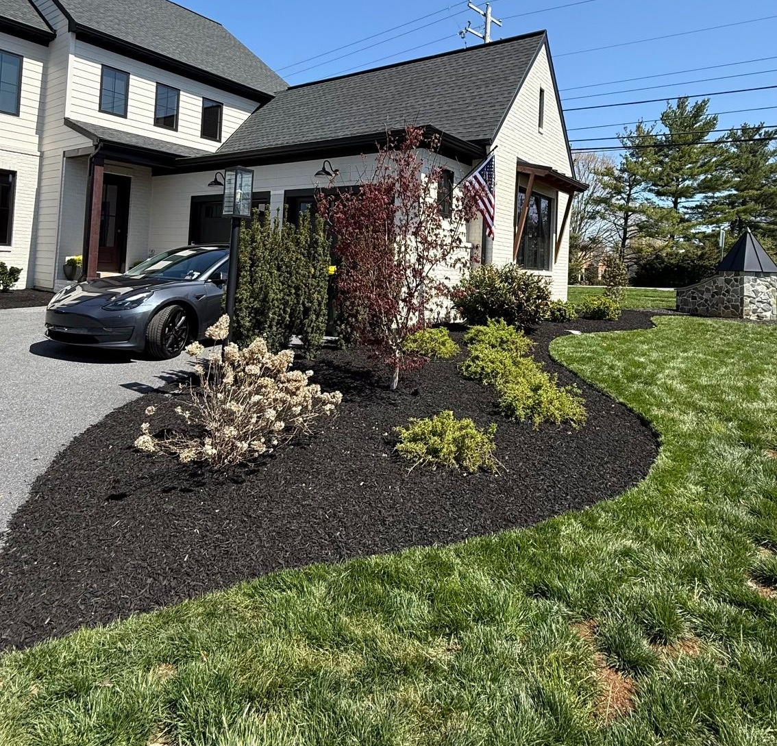 Front yard landscaping with dark mulch, shrubs, a small tree, and a parked car beside a house
