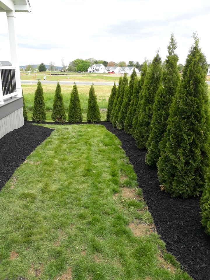 heemers lawn care services
