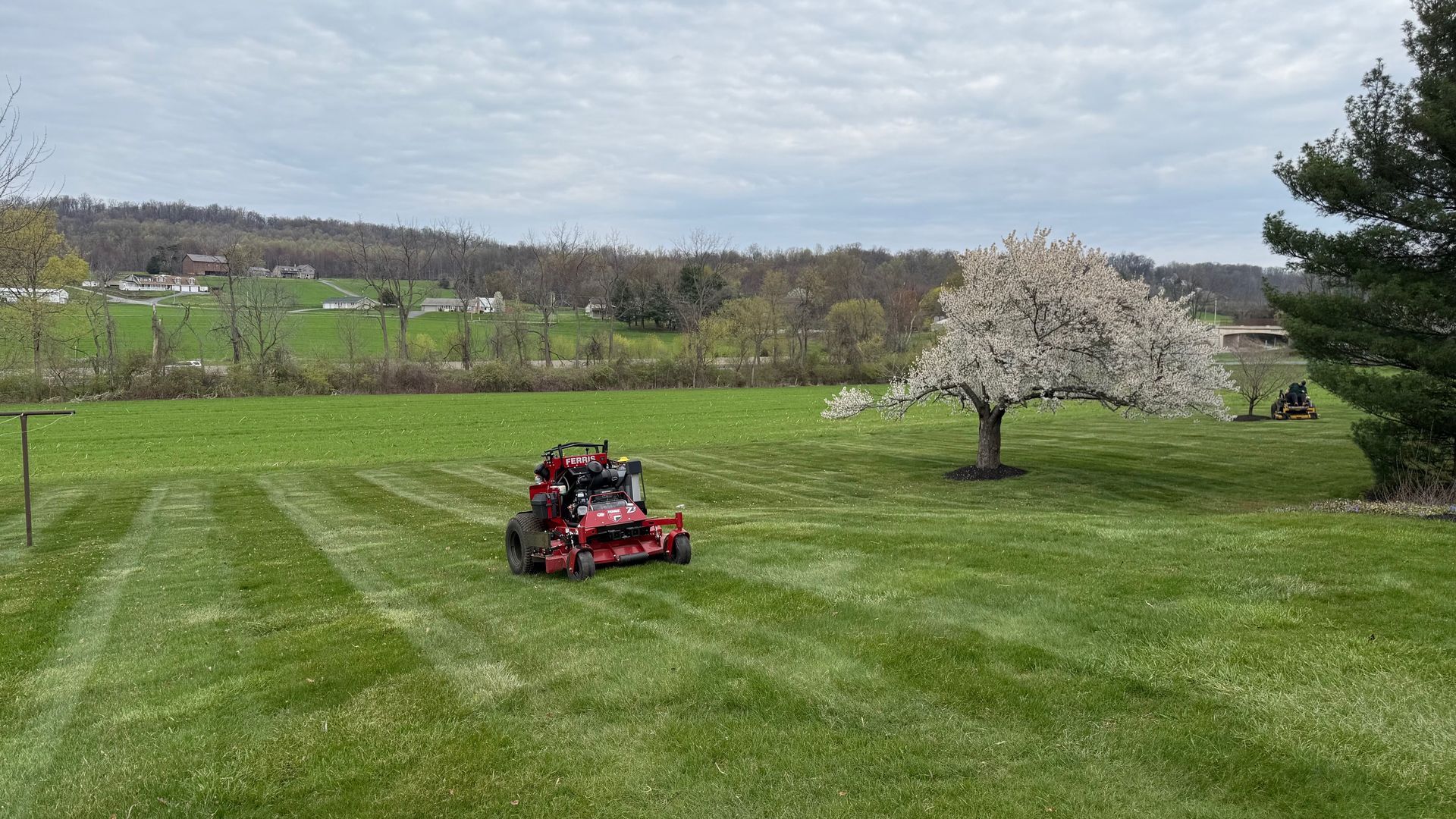 mowing