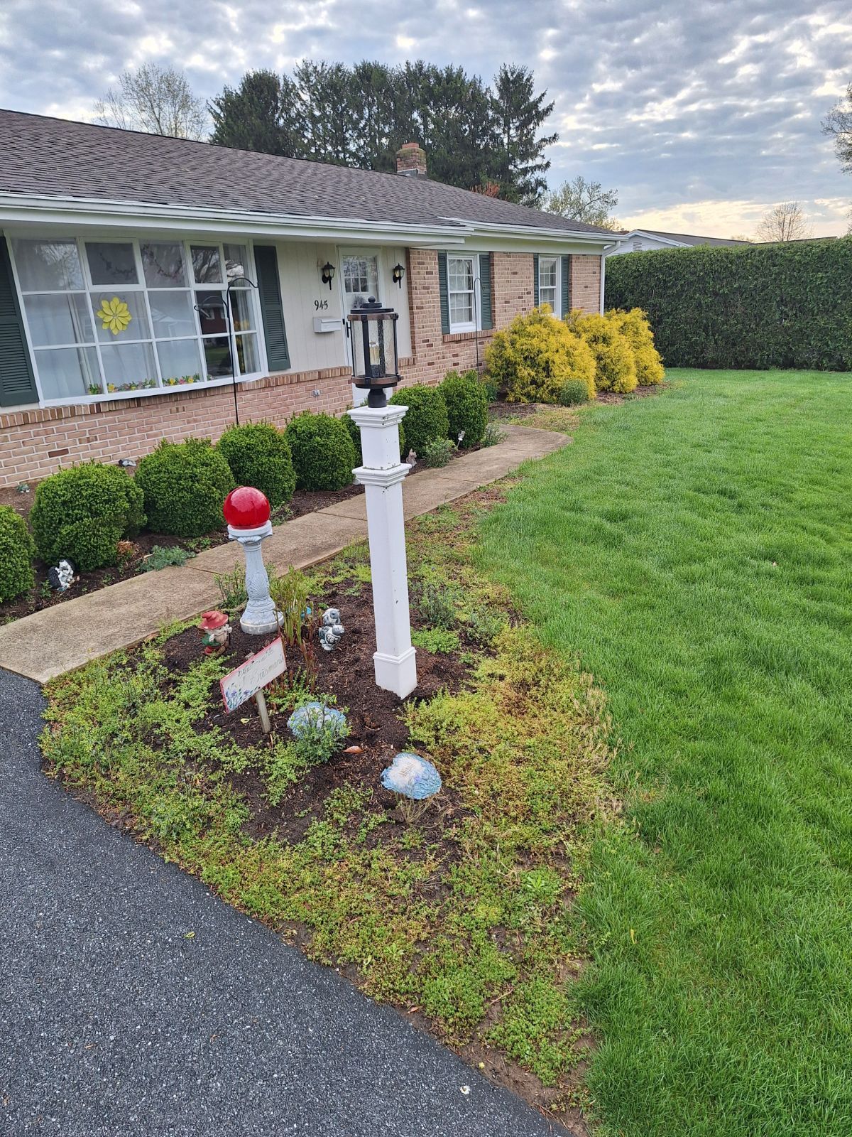 before mulch