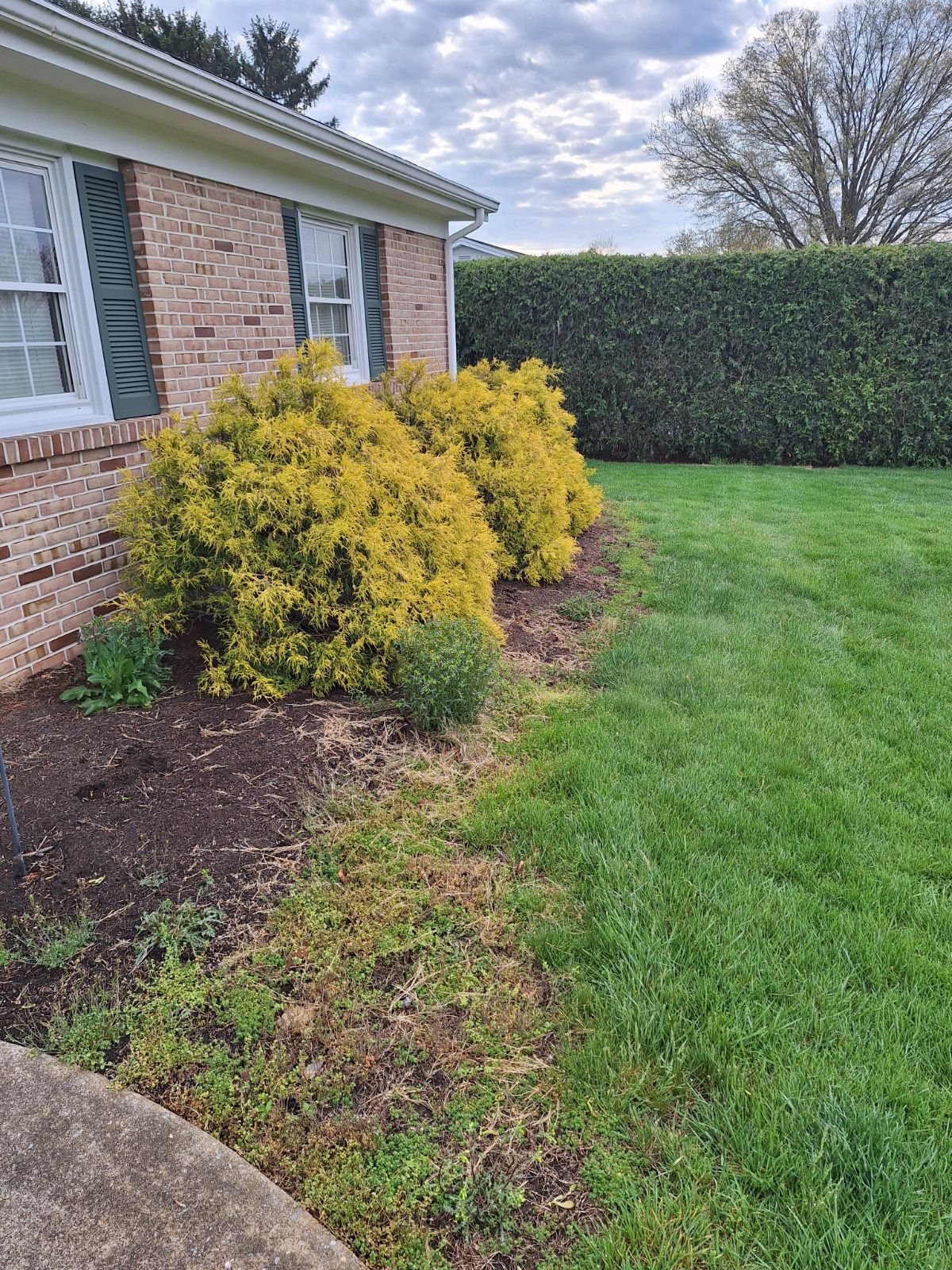 heemers lawn care services
