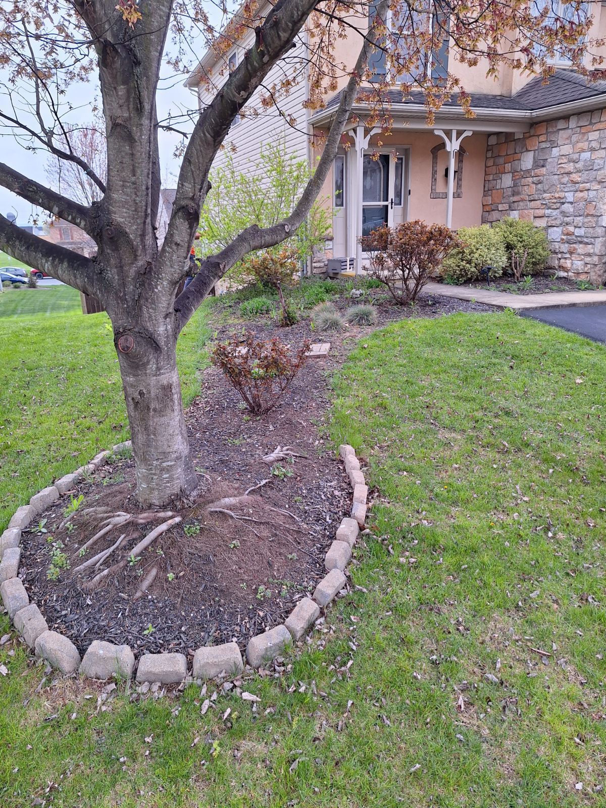 before mulch