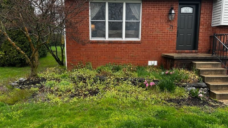 heemers lawn care services