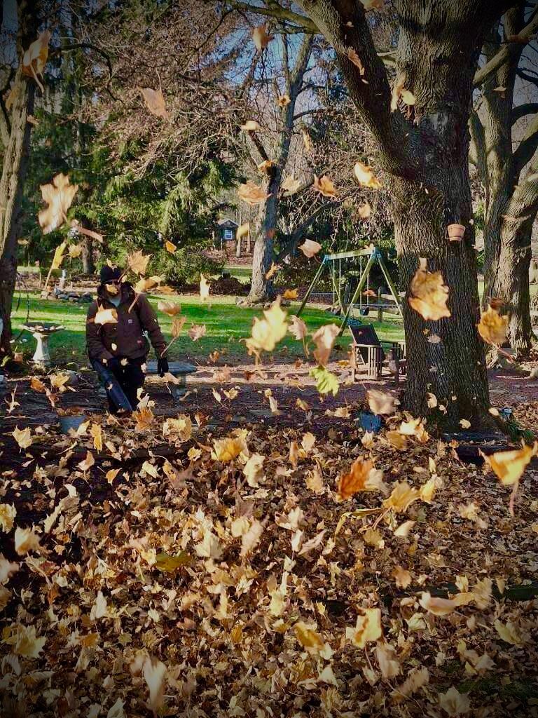 leaf removal