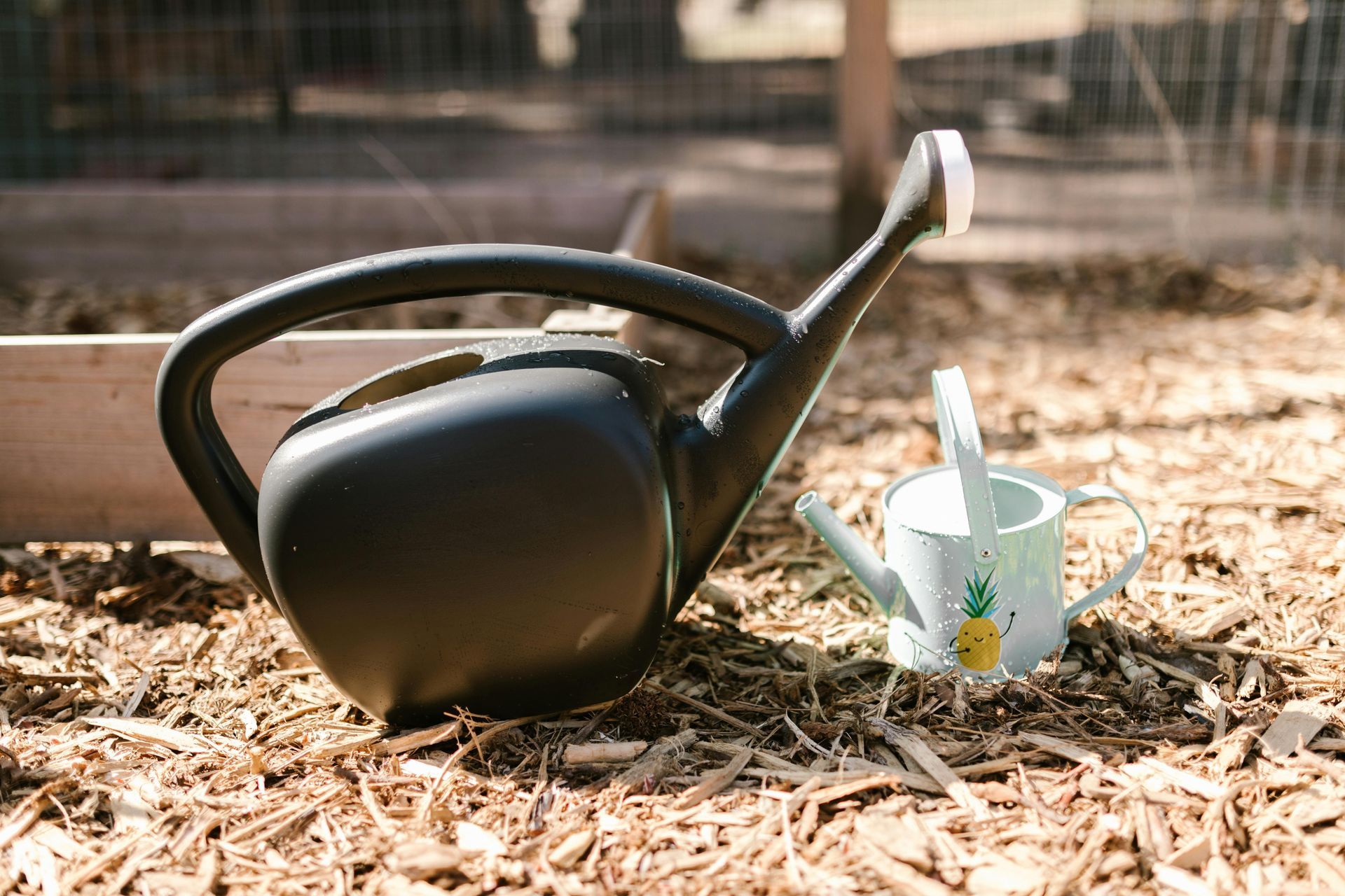 Two watering cans, one large black and one small white with a pineapple design, sit on wood chips.