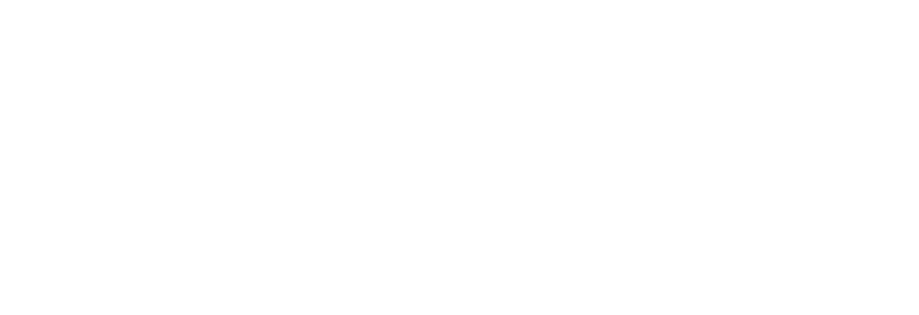 Logo | TSS Auto