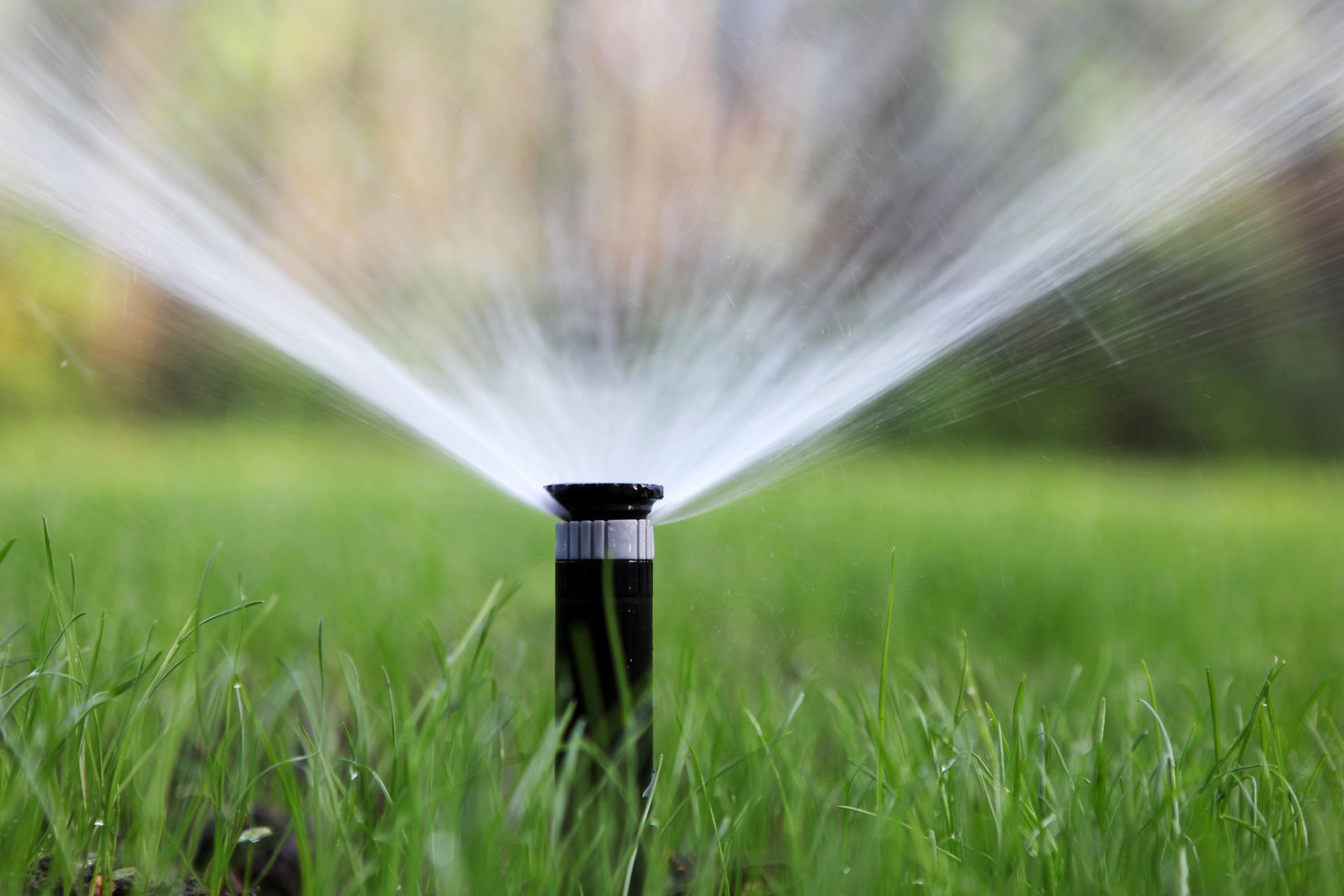 Sprinkler spraying water over a green lawn in a garden