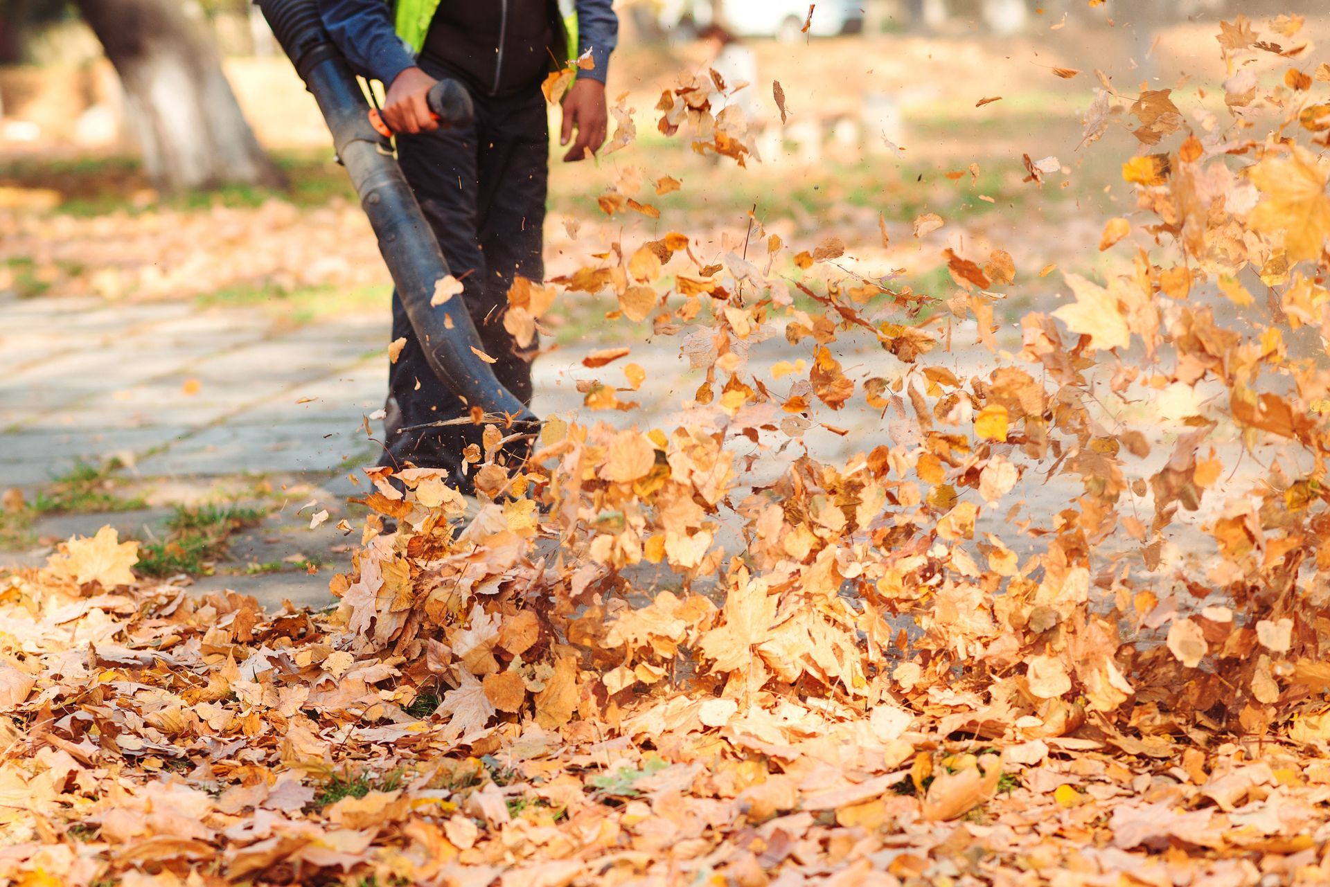 Person using a leaf blower to clear orange autumn leaves on a sidewalk