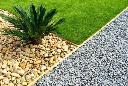 Small palm tree in a landscaped green lawn, bordered by white stones, with a road and hedges in the background