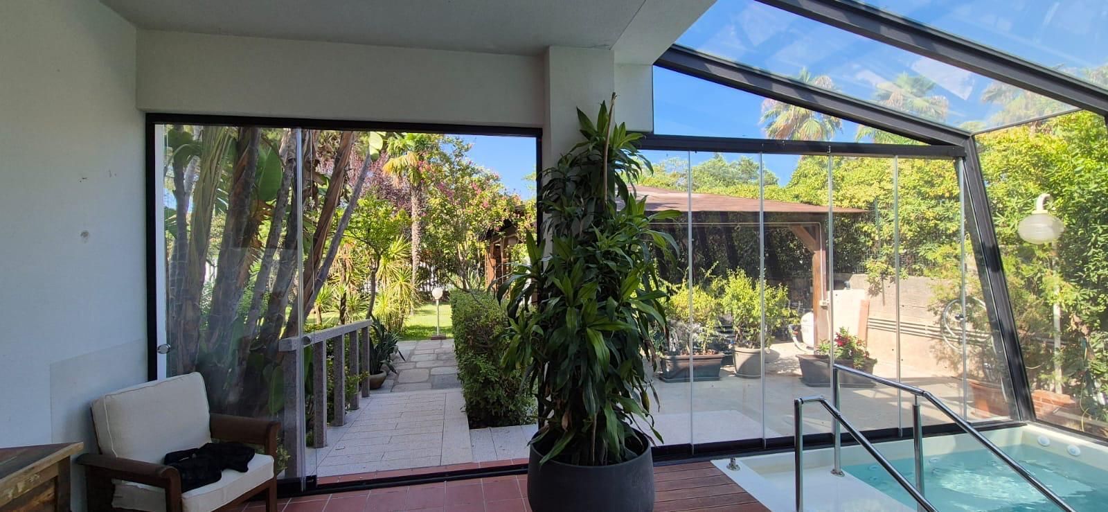 Vista interna di una veranda con piscina, una pianta alta in vaso e una vista sulla lussureggiante vegetazione esterna.