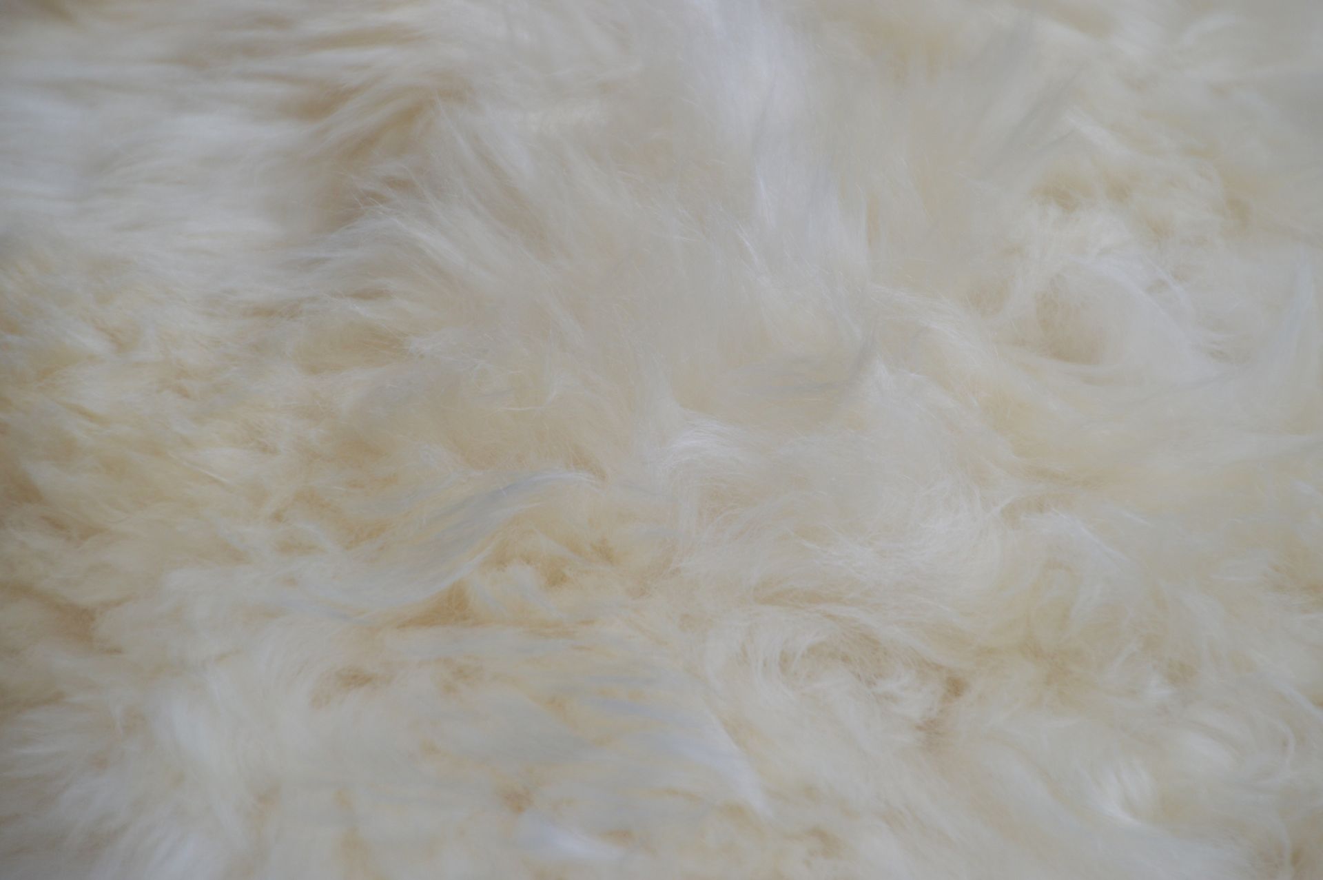 Fleece Prayer