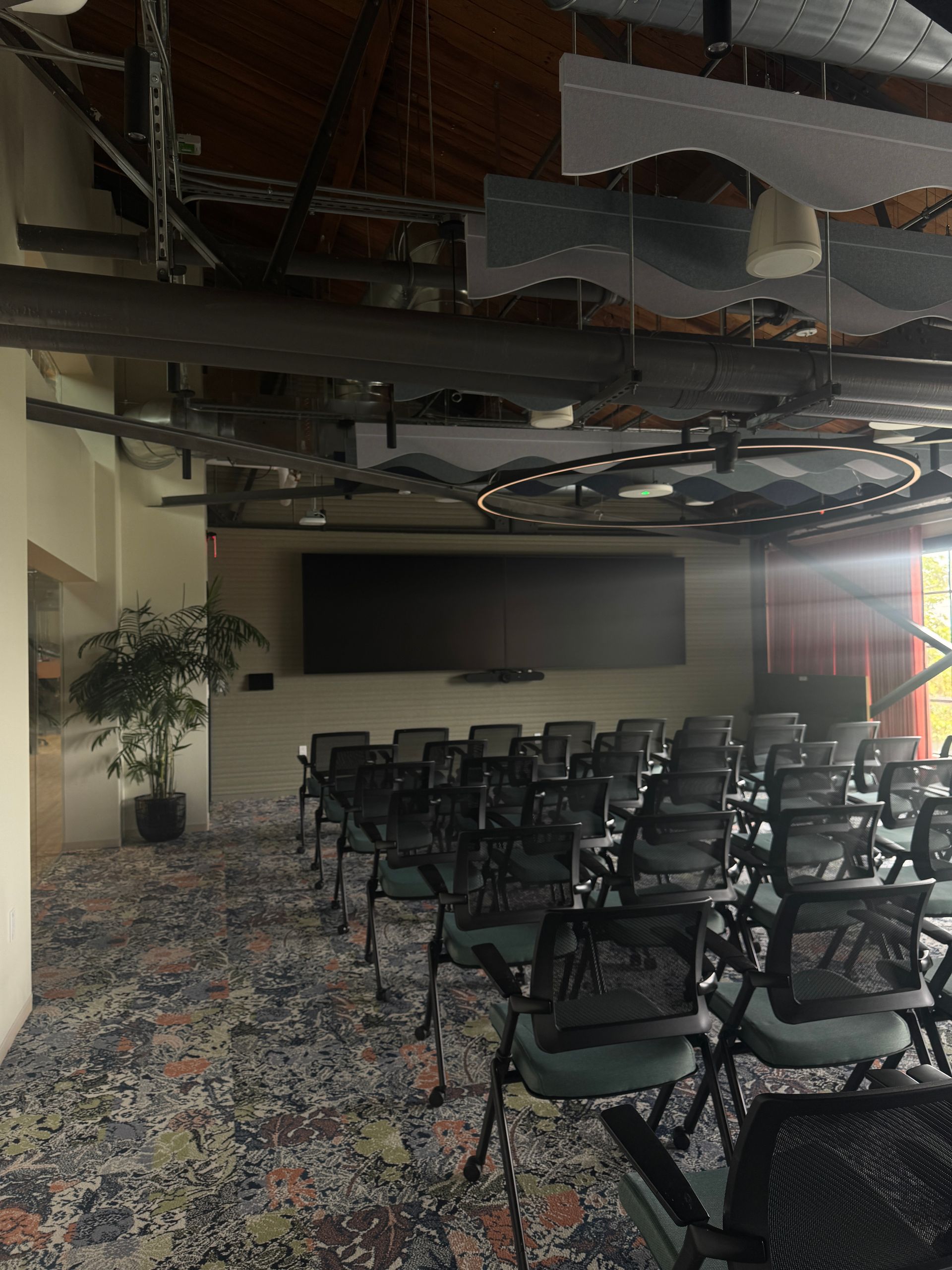 Auditorium with rows of chairs facing a large screen, plant, and patterned carpet.