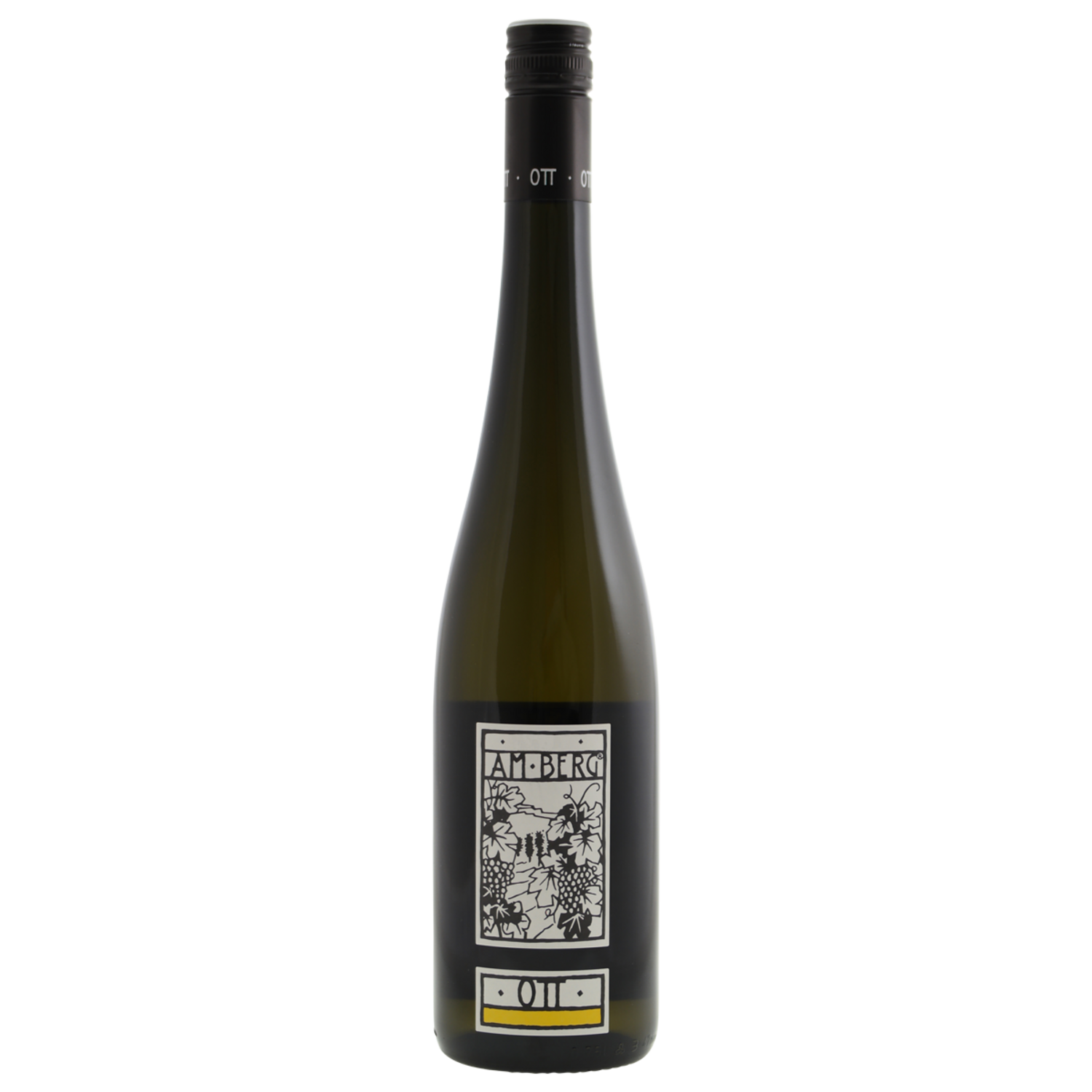 Bernhard Ott Grüner Veltliner Am Berg