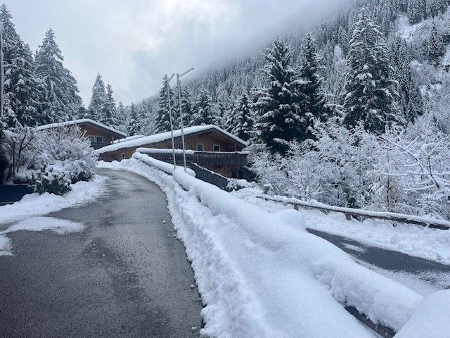 An einem Wintertag führt eine schneebedeckte Straße zu Holzhäusern, die sich in einen Wald schmiegen.