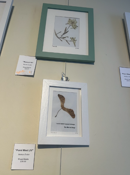 Wall display of framed botanical and bird prints with small labels on a beige wall