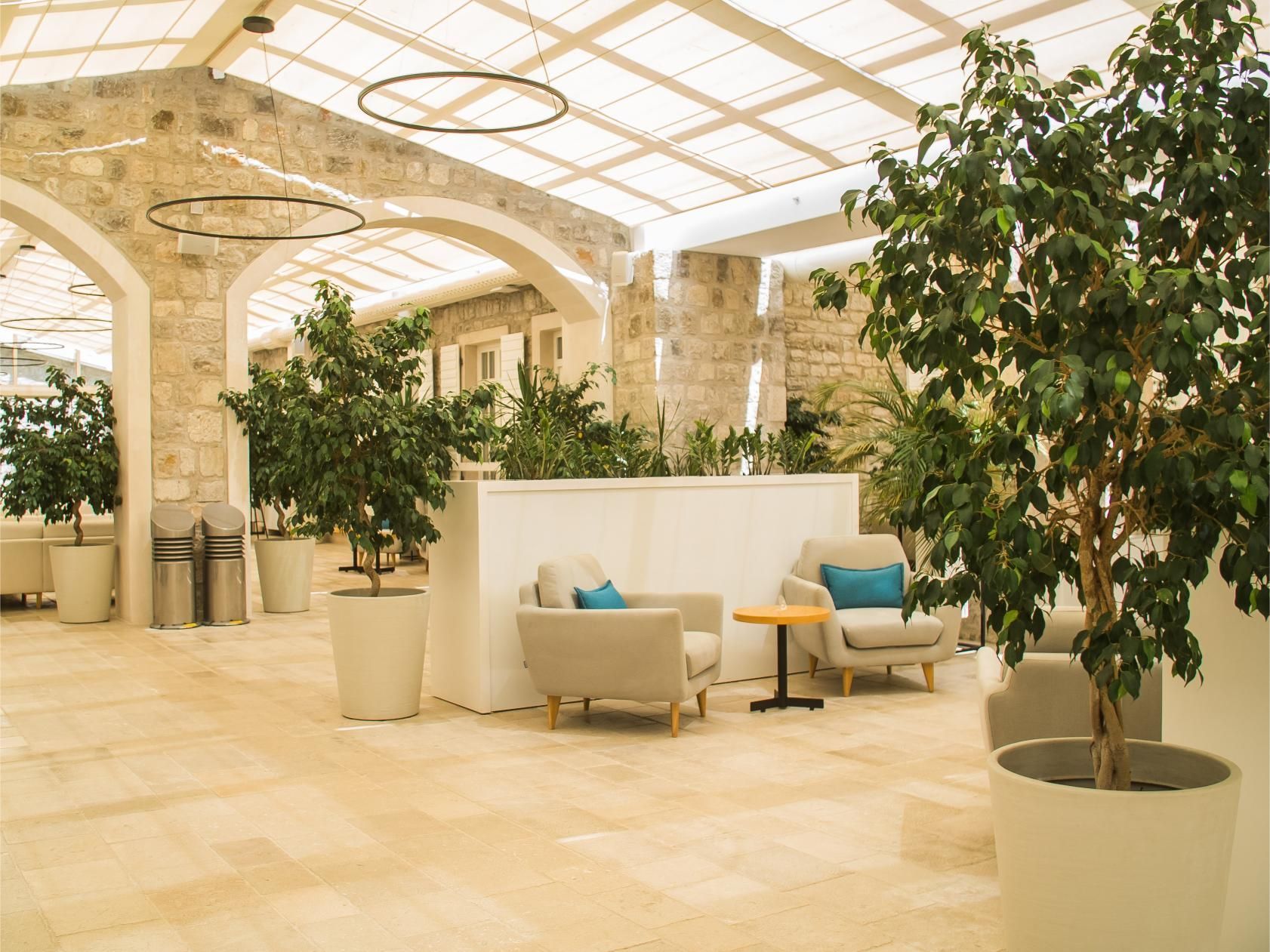 There are a lot of plants in the lobby of a hotel.