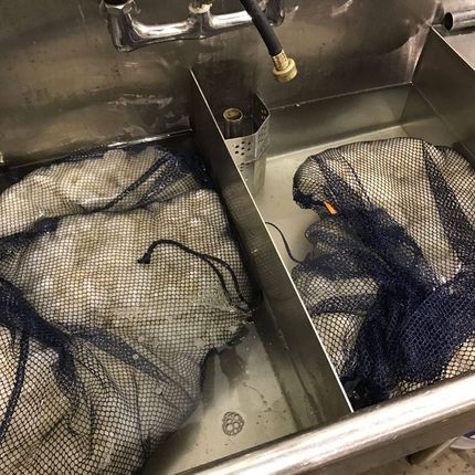 Two mesh bags submerged in a divided stainless steel sink.